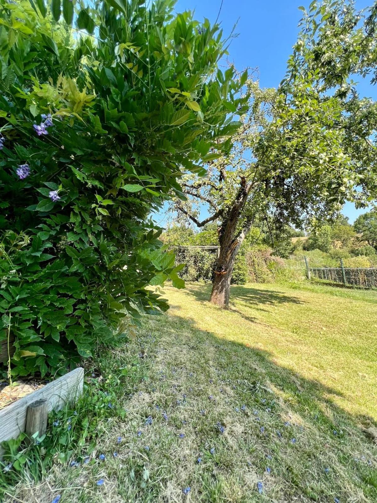 Villa La Baronnie - 11 Pers - Proche Brive -Jardin Ussac Eksteriør billede