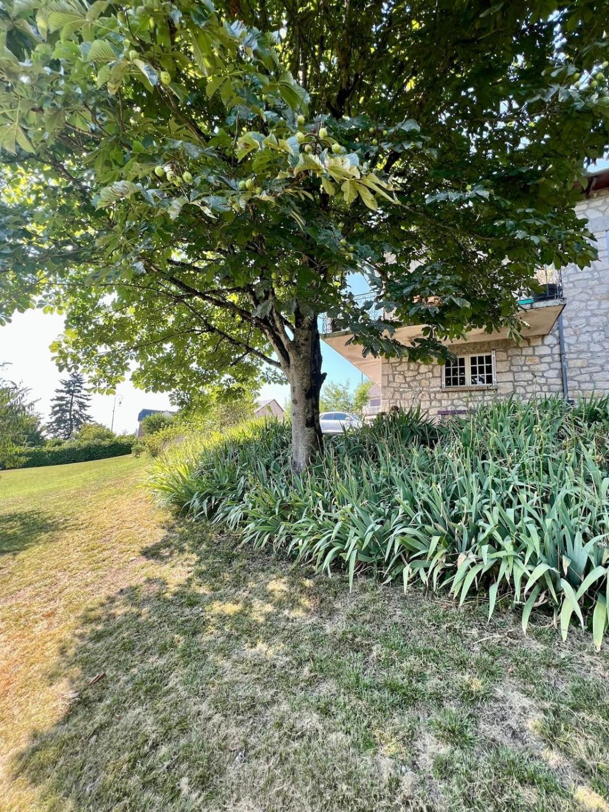 Villa La Baronnie - 11 Pers - Proche Brive -Jardin Ussac Eksteriør billede
